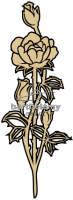 Kletterrose Bronze
