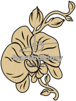 Orchideenblte Bronze