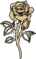 Centifolia-Rose Bronze