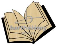 Offenes Buch Bronze