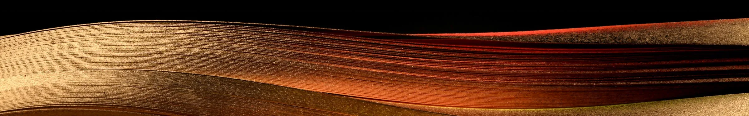 Forme Background Bronze